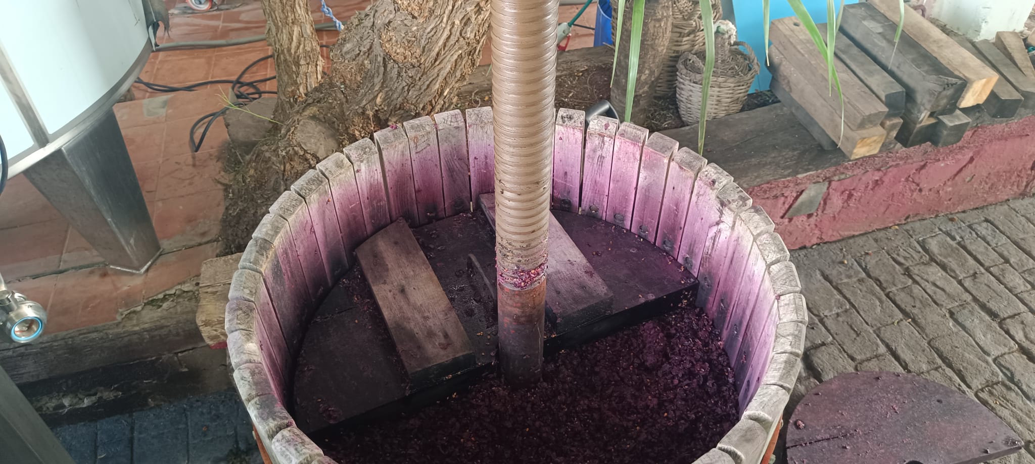 Wine Tour